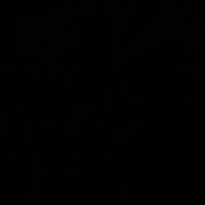 Meet your Posher, Tamara